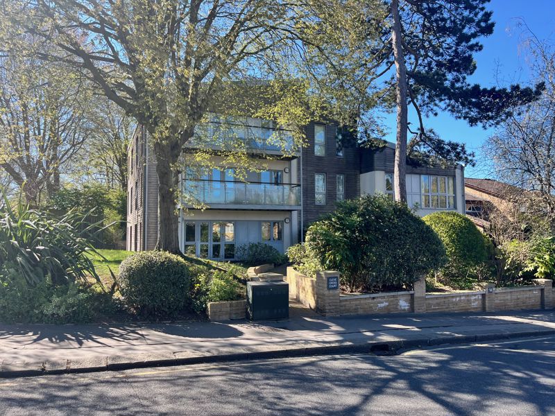 Main Image